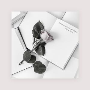 妓女毛茸茸茸茸户外妓女
